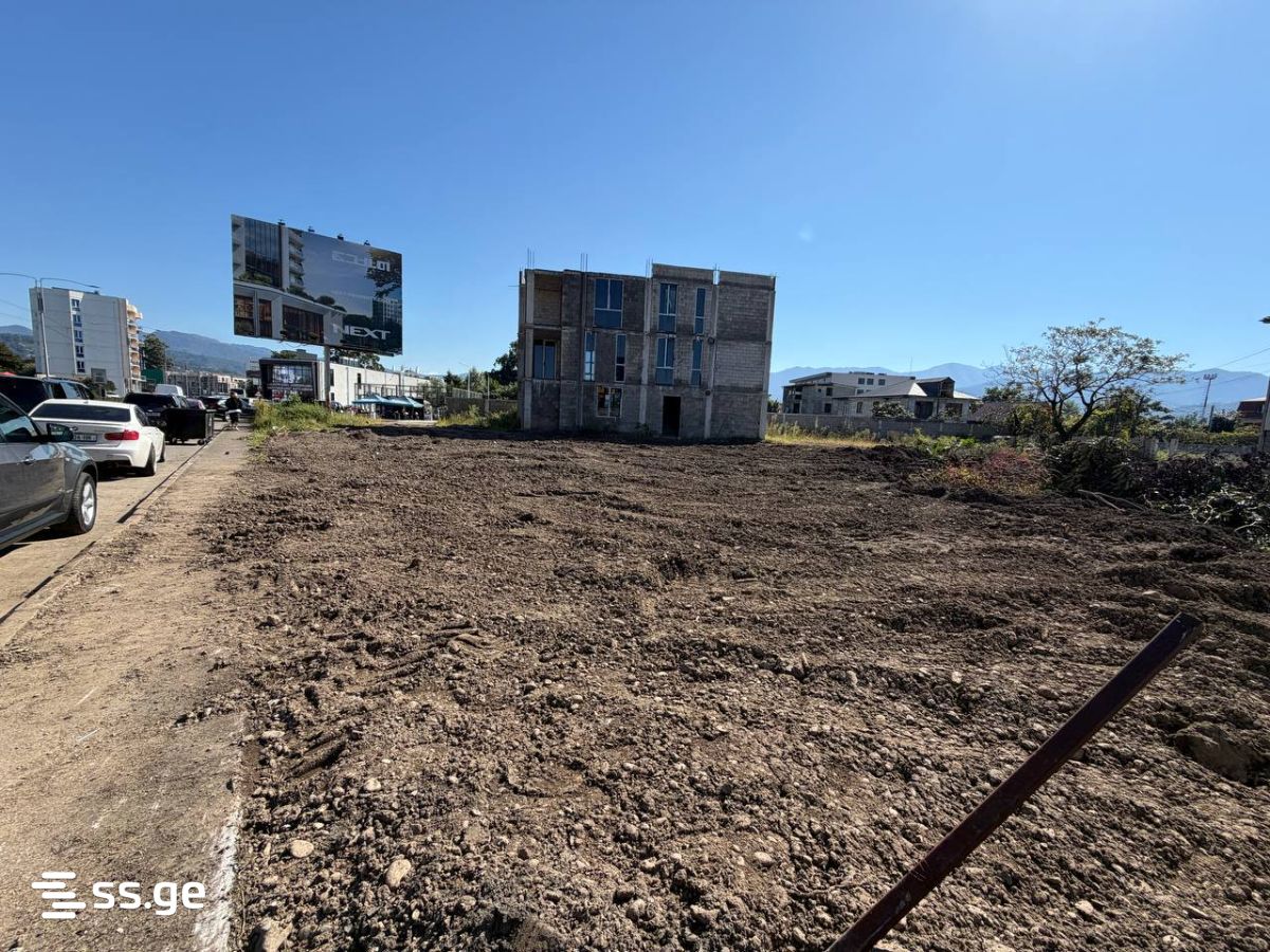 Land For Rent. Batumi view 10