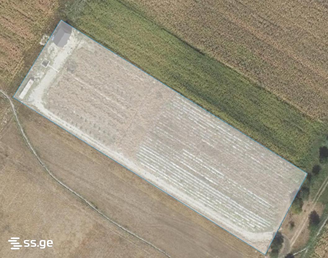 Land For Sale. Akhalsopeli view 13