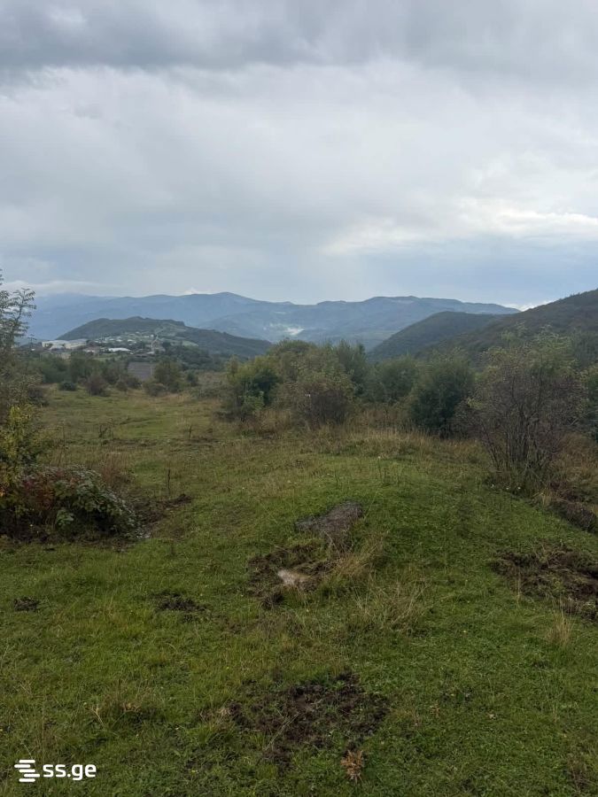5 Room Private House For Sale view 3