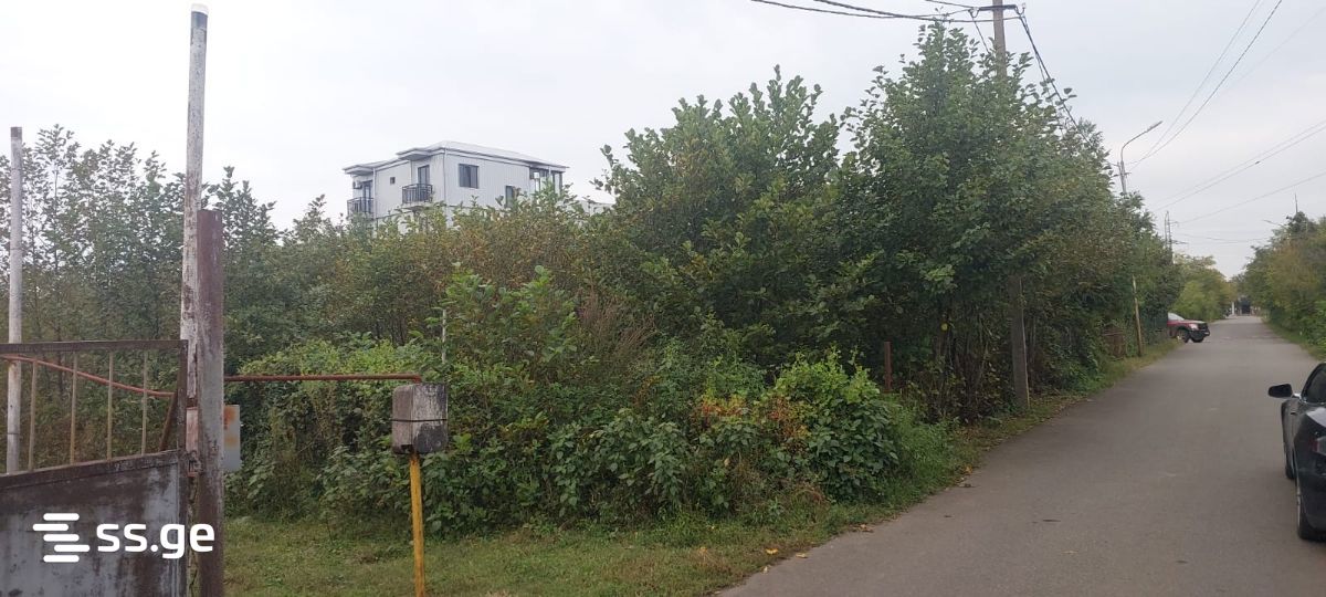Land For Sale. Kobuleti view 1