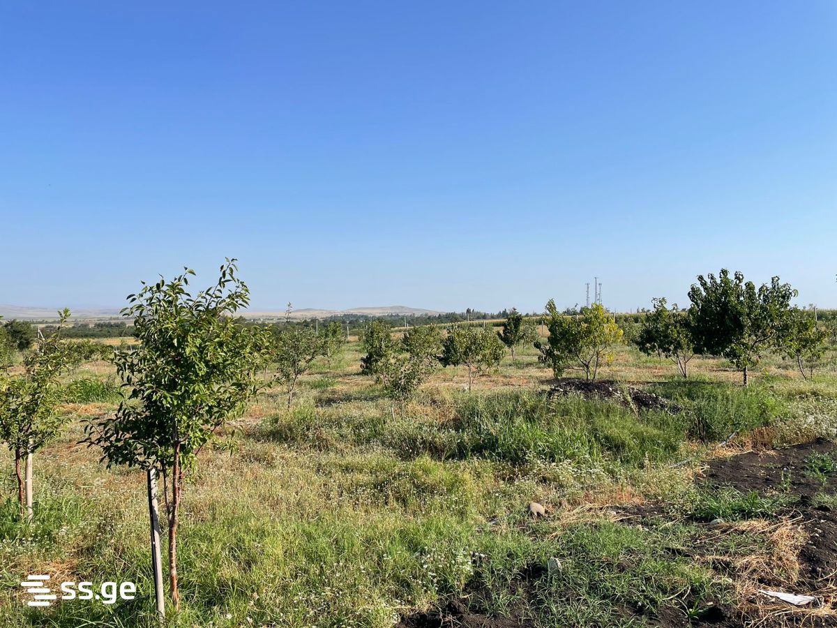 Land For Sale. Akhalsopeli view 3