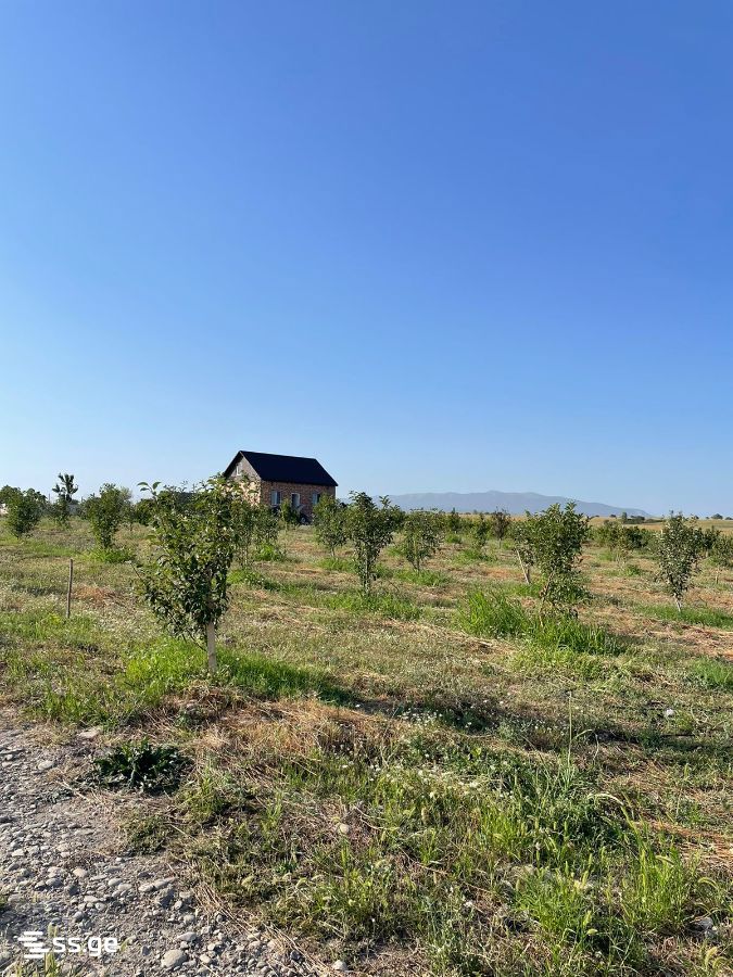 Land For Sale. Akhalsopeli view 1