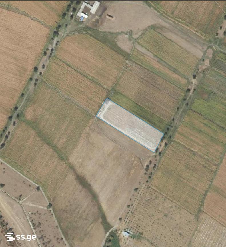 Land For Sale. Akhalsopeli view 12
