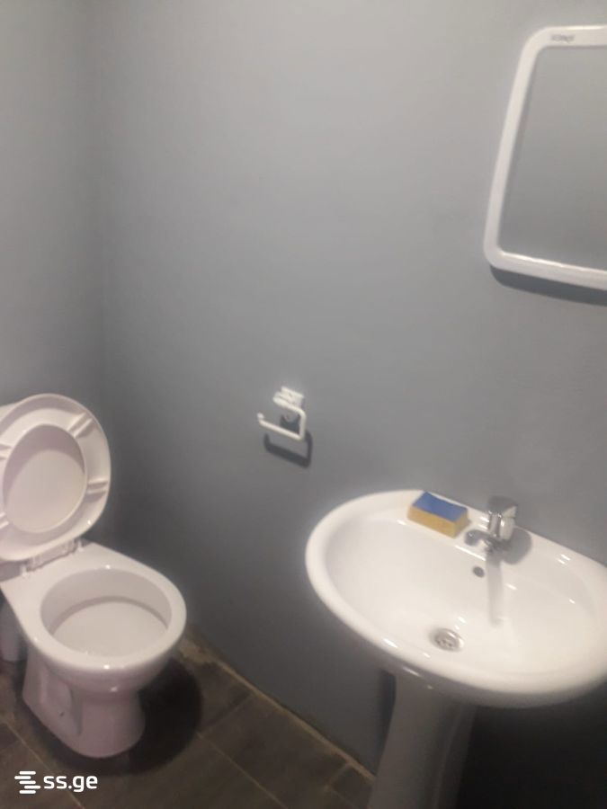 1 Room Private House For Rent. Gldani view 2