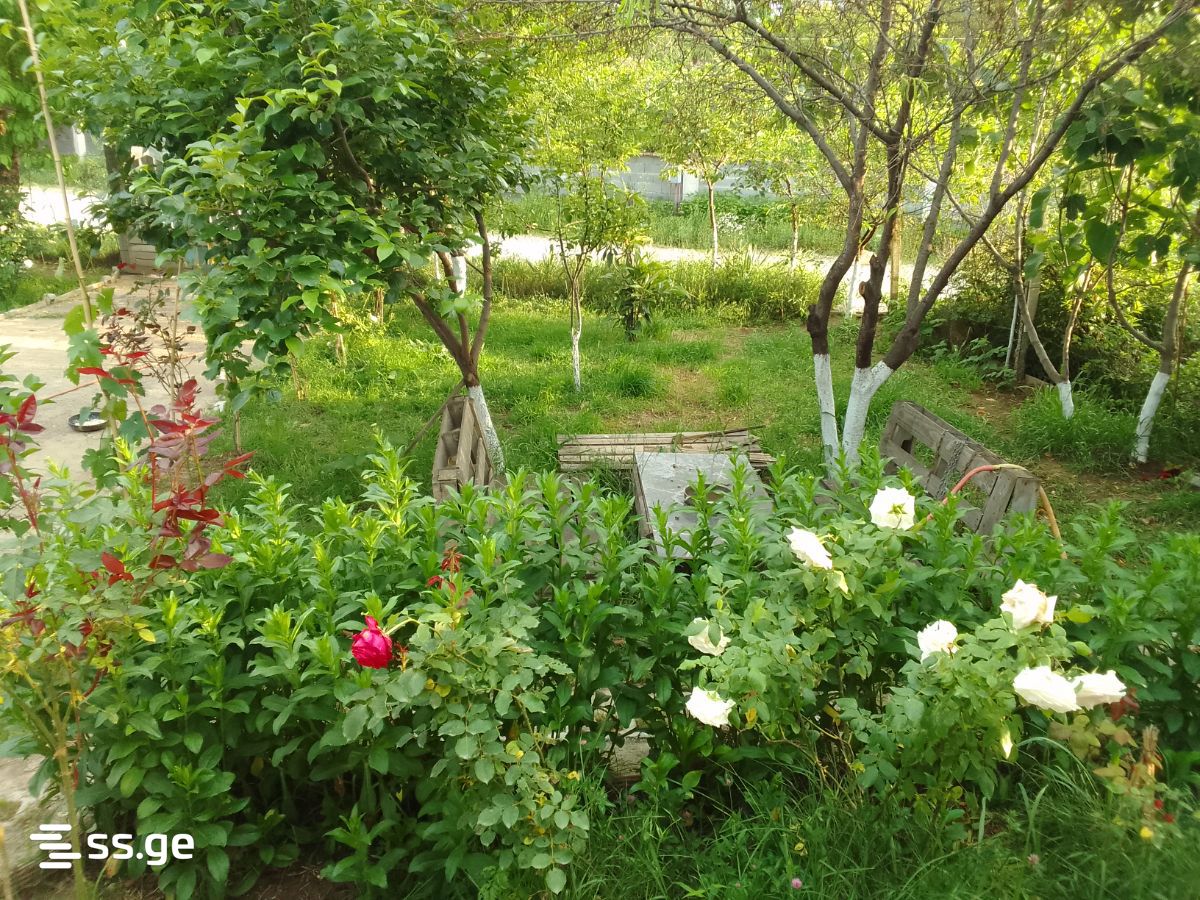 Summer Cottage For Sale. Saguramo view 2