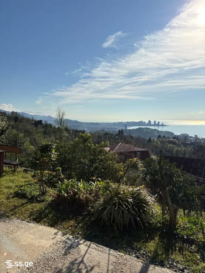 Land For Sale. Makhindjauri view 1