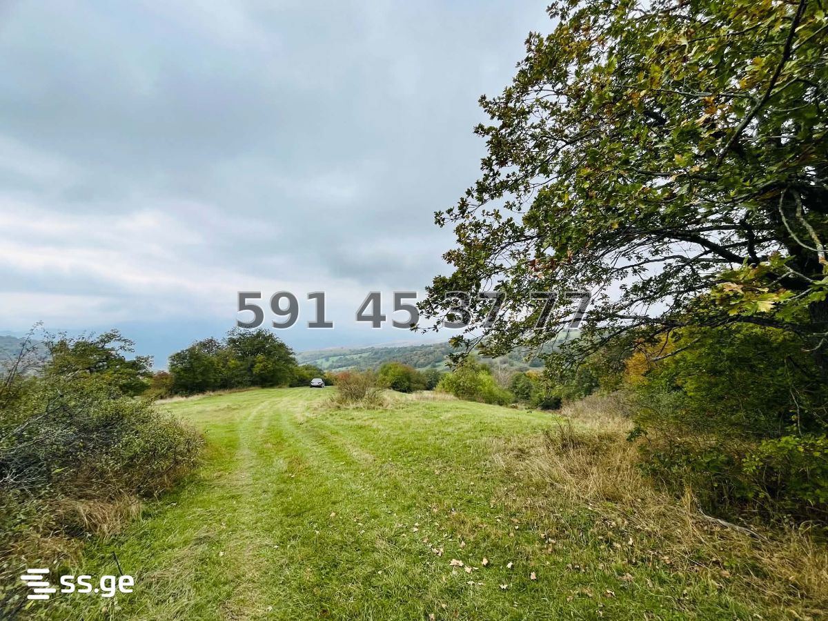 Land For Sale. Orbeti view 1