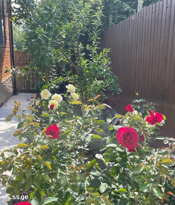5 Room Summer Cottage For Rent. Saguramo view 9