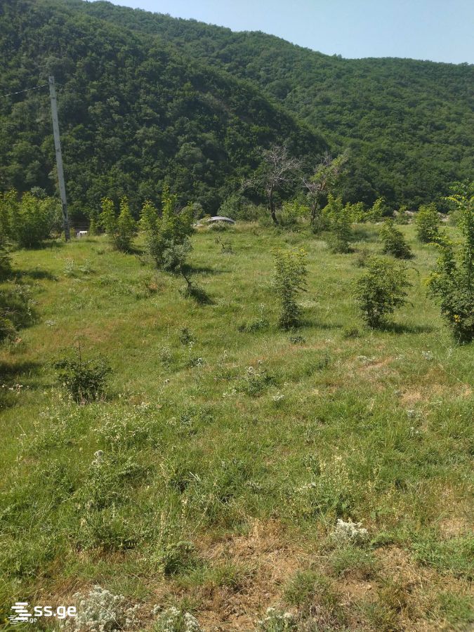 Land For Sale. Mamkoda view 1