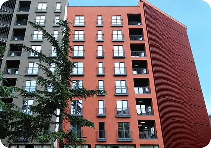 https://static.ss.ge/20261013/15_74e54d1d-56ac-4f08-8e6d-95e316b7147d_Thumb.jpg