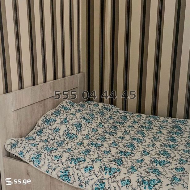 https://static.ss.ge/20261013/16_4c58bed7-887f-4bd3-b66f-9e95dba3e463_Thumb.jpg