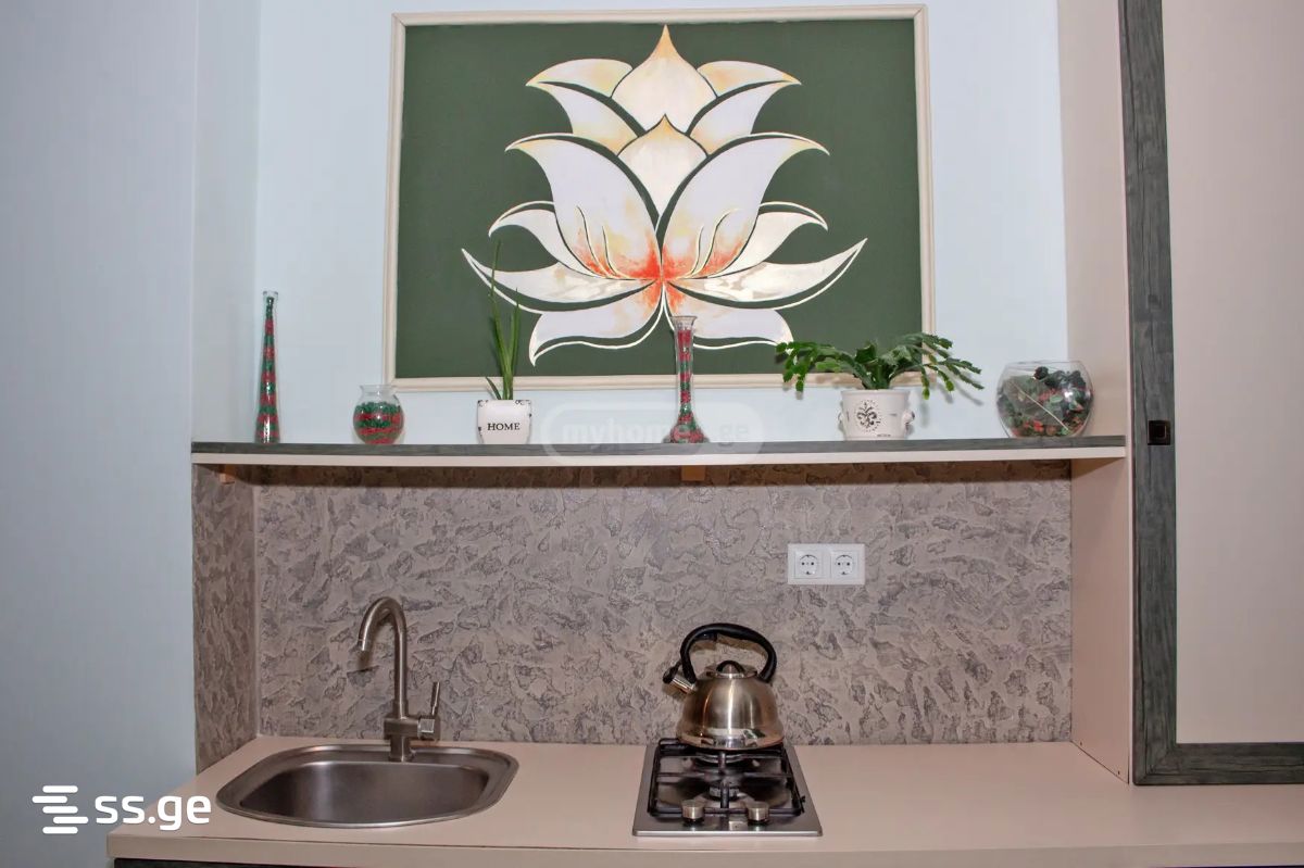 4 Room Flat Daily Rent. Sololaki view 2