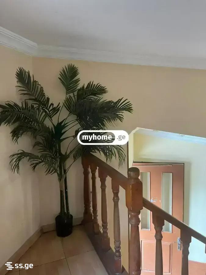26 Room Hotel For Rent. Digomi view 4