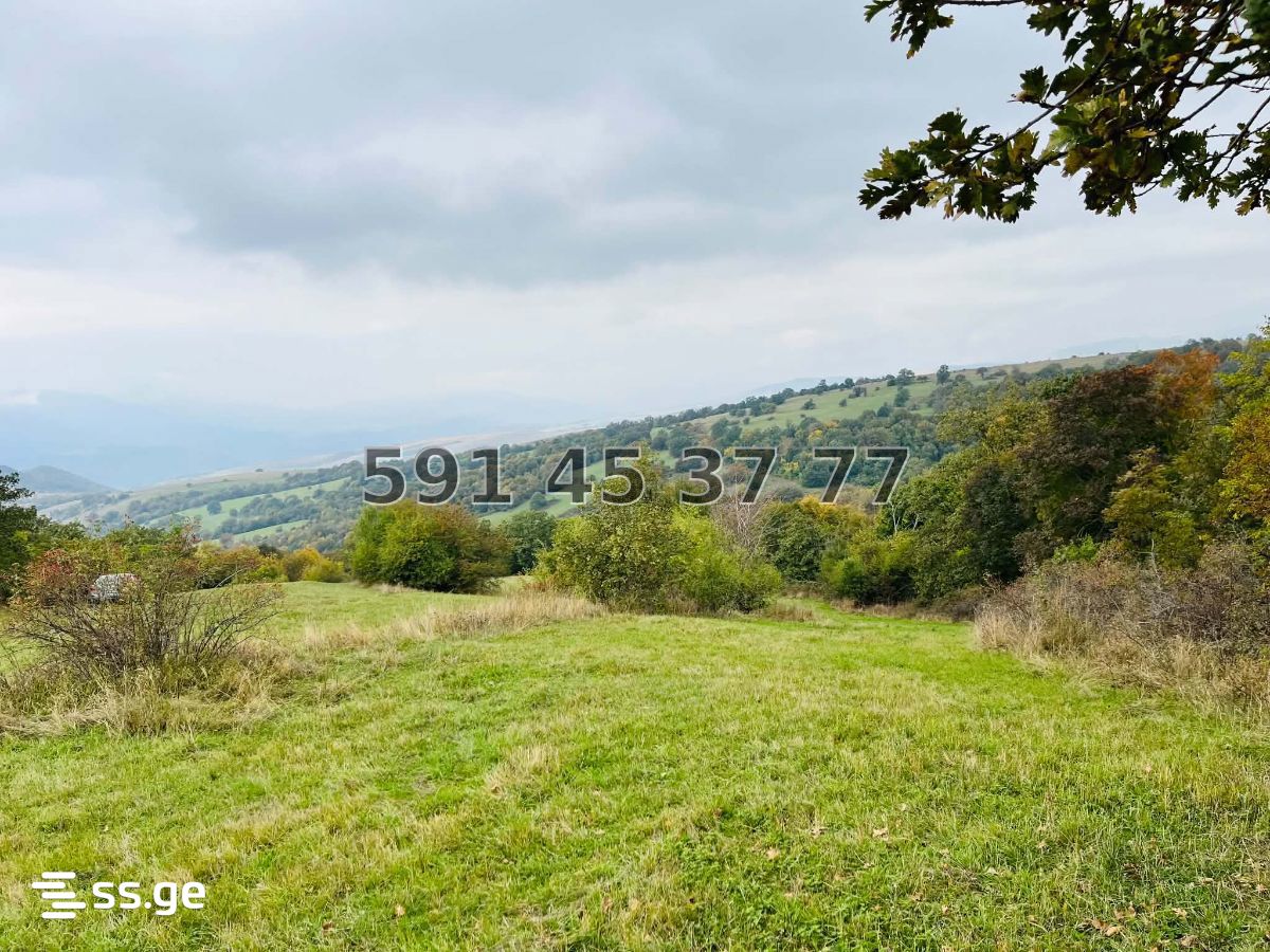 Land For Sale. Orbeti view 4