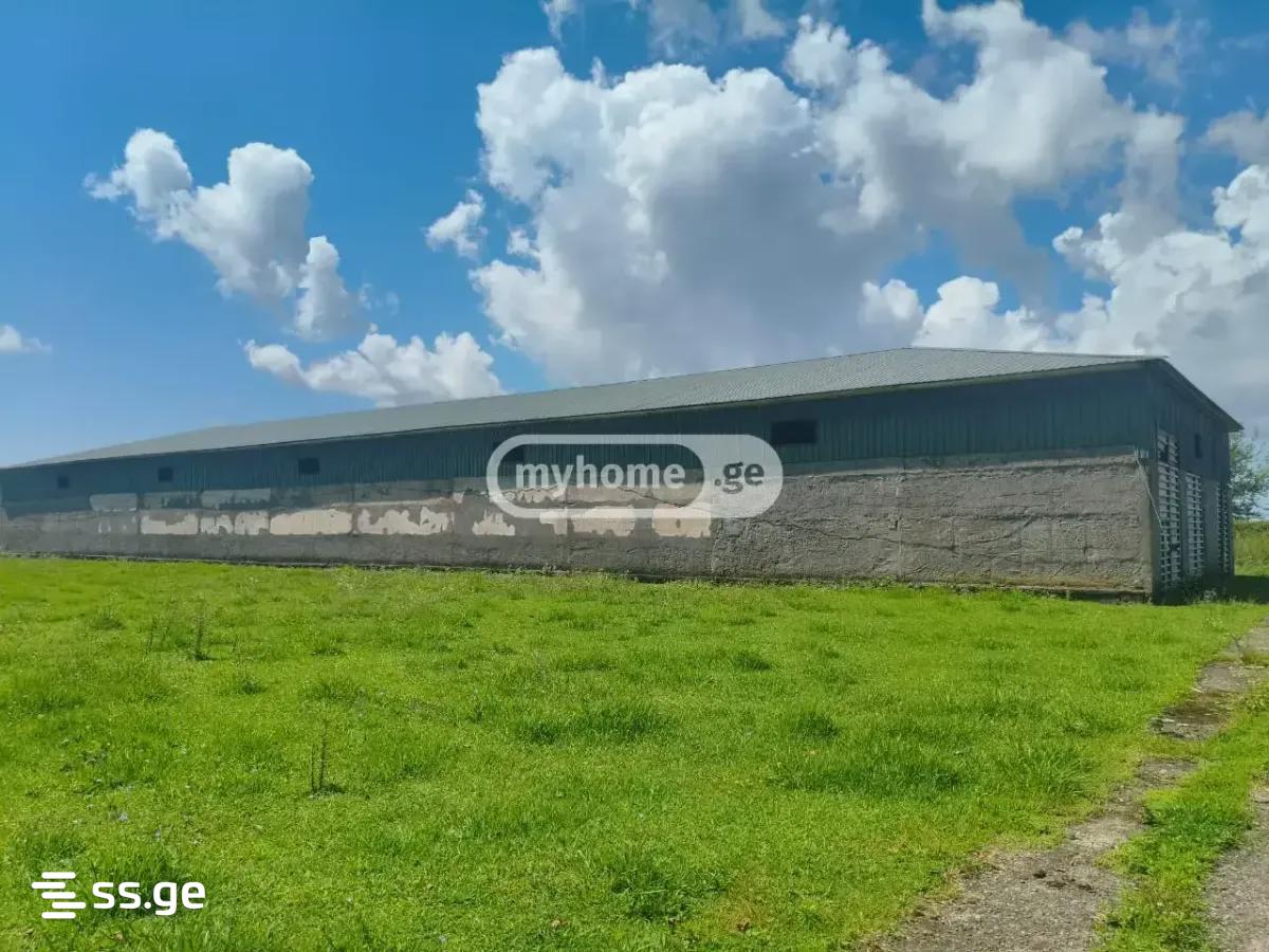 Land For Sale. Zugdidi view 1