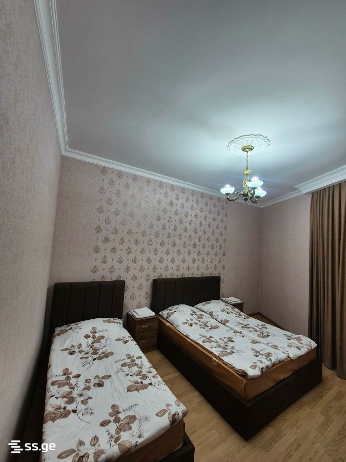 Private House Daily Rent. Kutaisi view 3