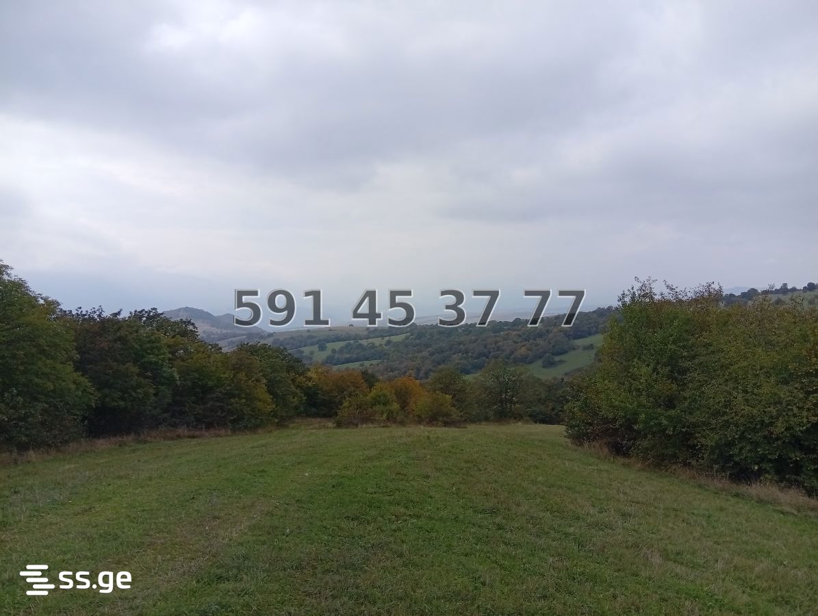 Land For Sale. Orbeti view 3