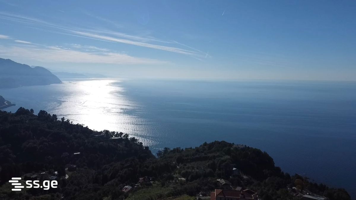 იყიდება მიწა კვარიატიში view 1