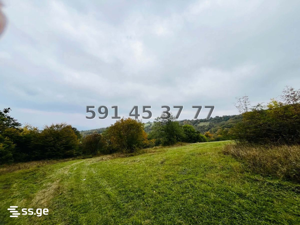 Land For Sale. Orbeti view 2