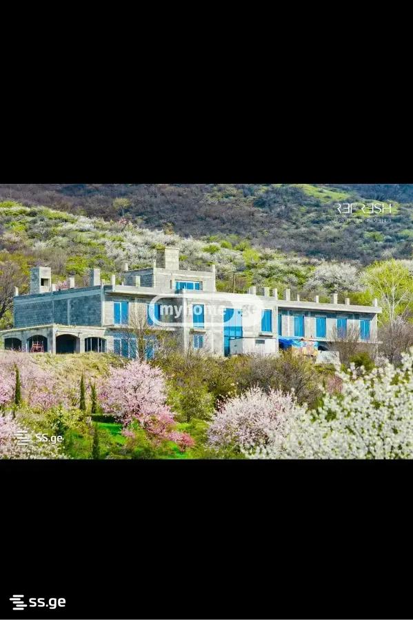 Hotel For Sale. Sagarejo view 1
