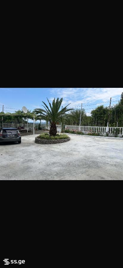 5 Room Private House For Rent. Tsikhisdziri view 9