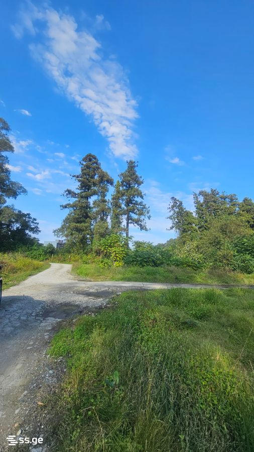 Land For Sale. Gonio view 1