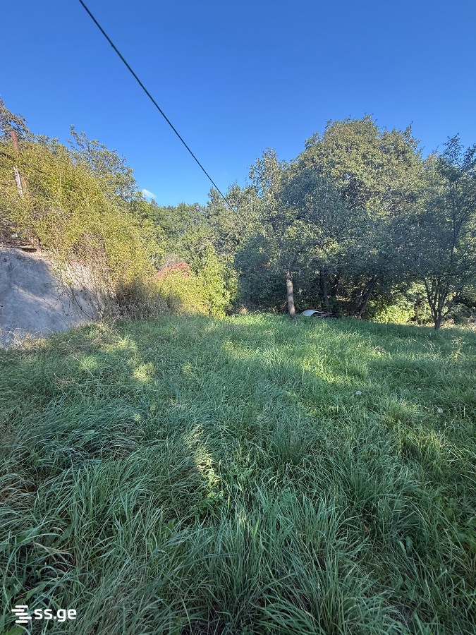 Land For Sale. Kojori view 2