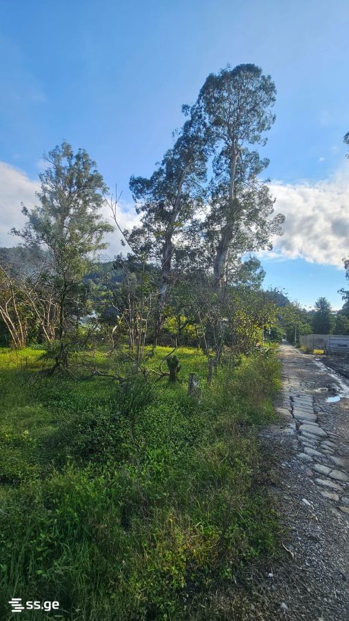 Land For Sale. Gonio view 3