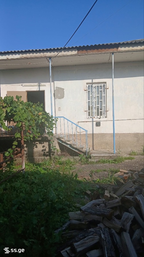 Private House For Rent. Telavi view 1