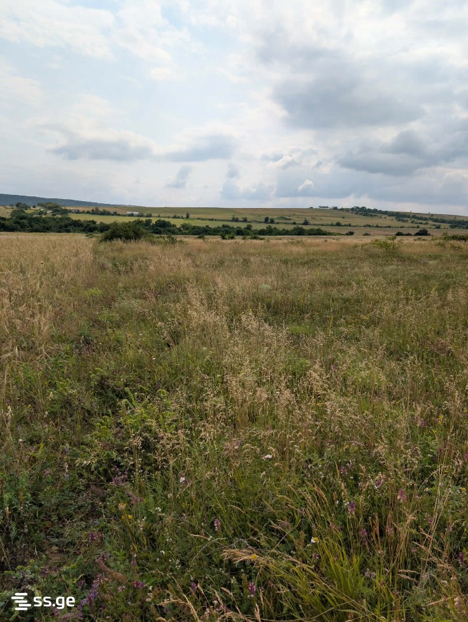 Land For Sale. Norio view 2