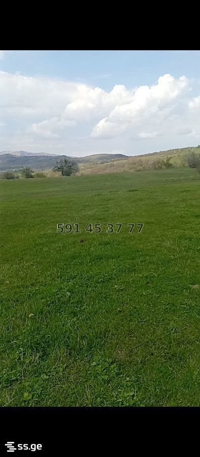 Land For Sale. Orbeti view 2