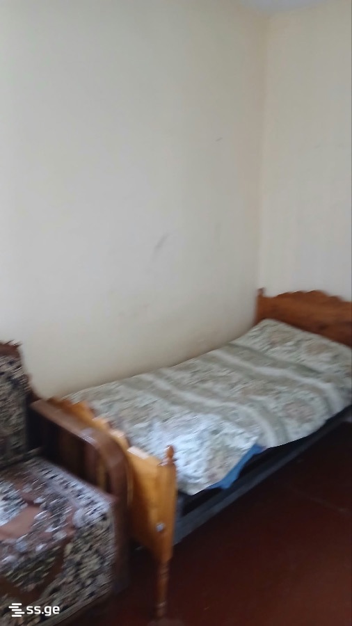 Private House For Rent. Telavi view 3