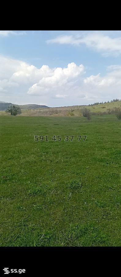 Land For Sale. Orbeti view 1
