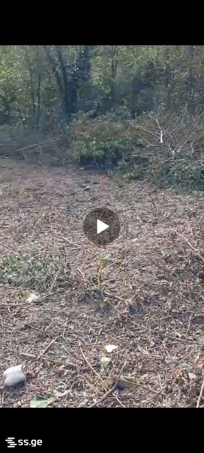 Land For Sale. Ureki view 1