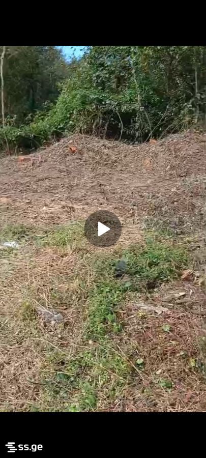 Land For Sale. Ureki view 4