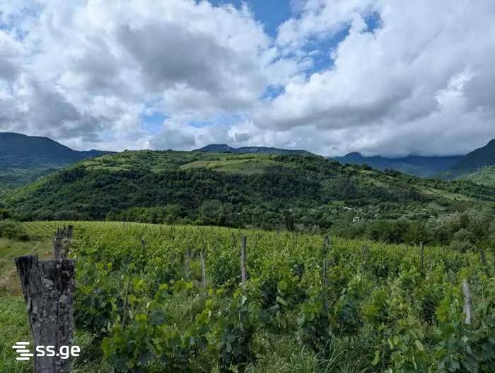 Land For Sale. Ambrolauri view 2