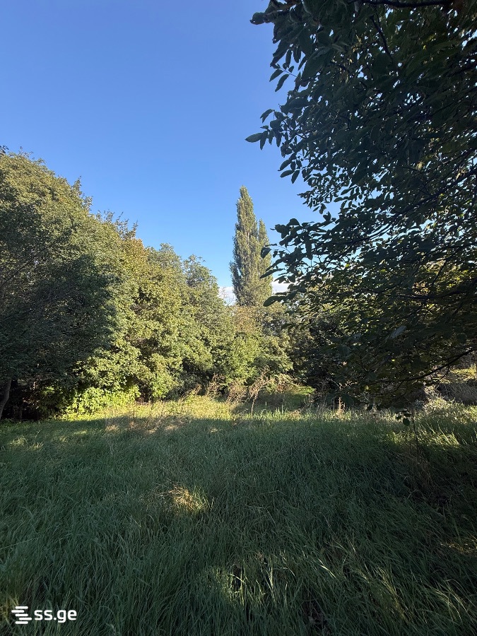 Land For Sale. Kojori view 1
