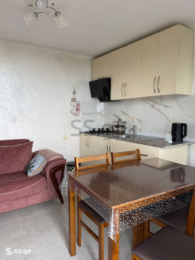 2 Room Flat For Rent. Makhindjauri view 1