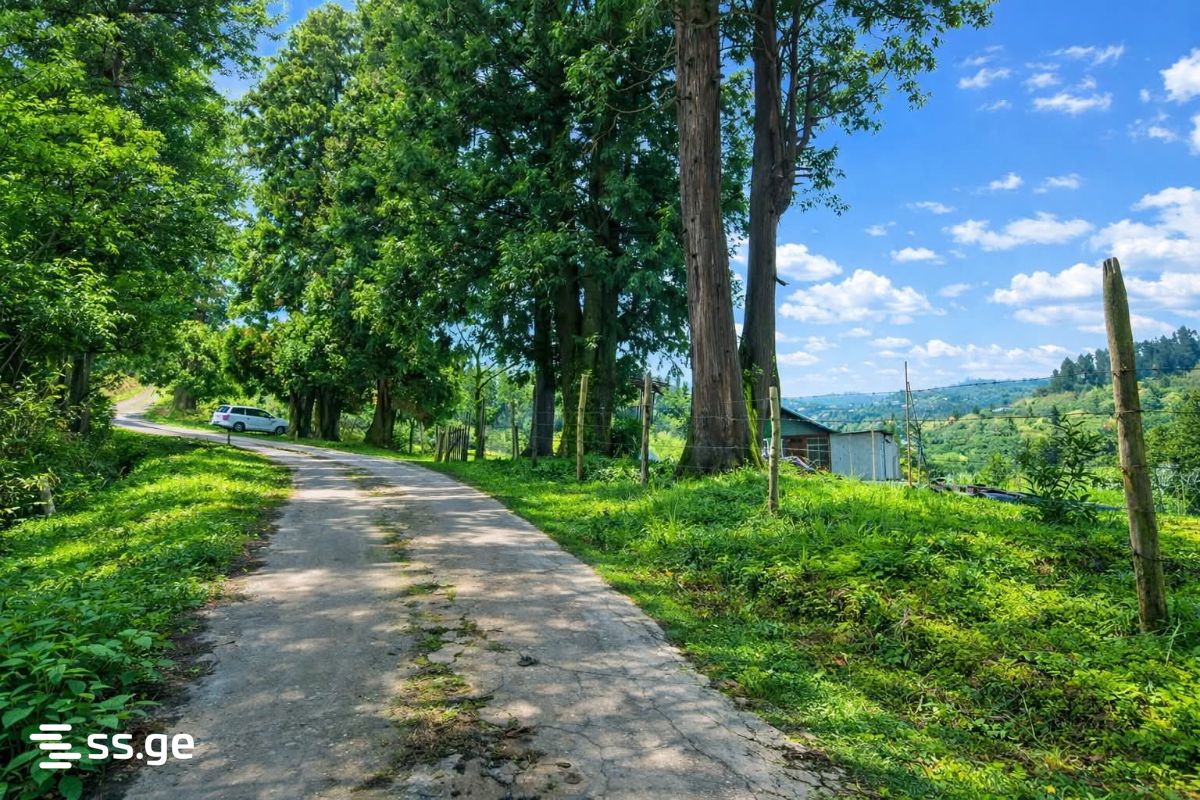 Land For Sale. Chaqvi view 4