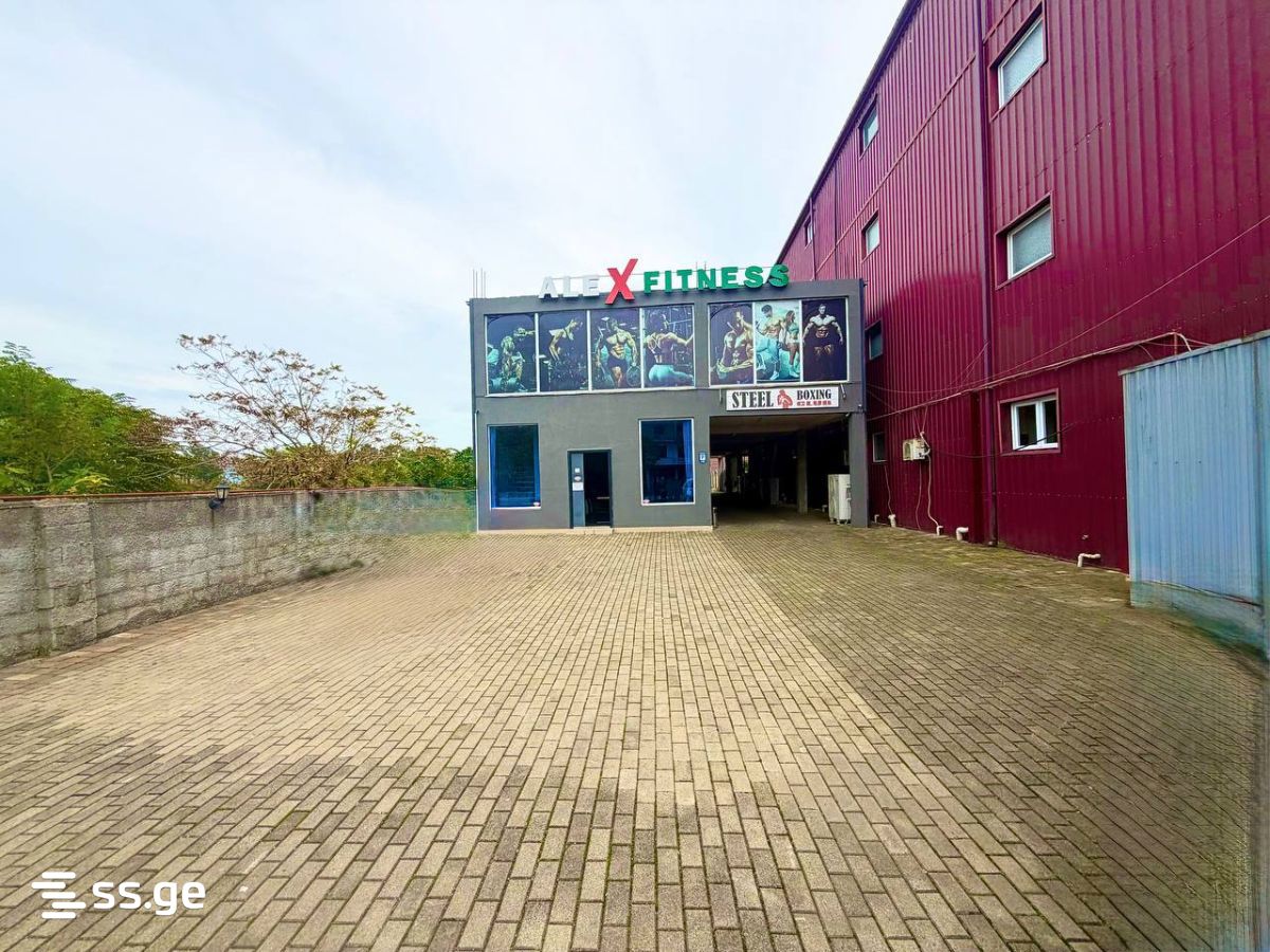 Commercial Space For Sale. Kobuleti view 4