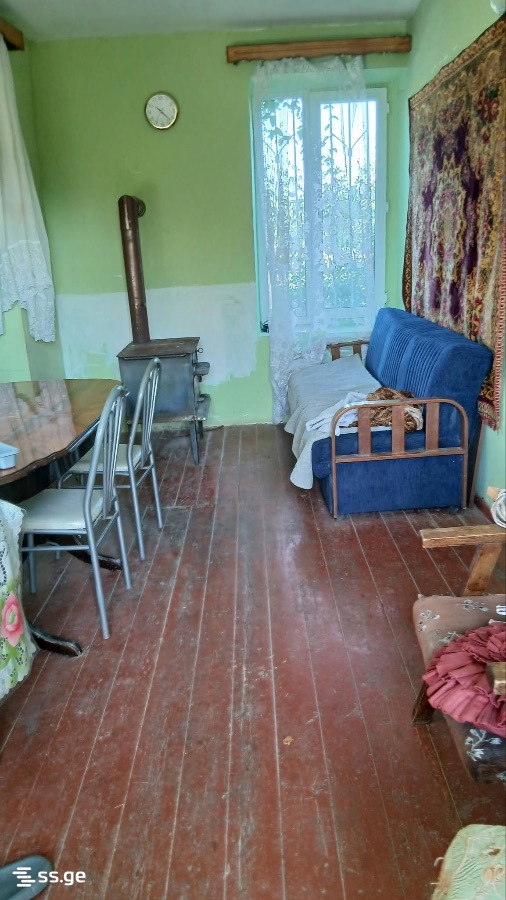 Private House For Rent. Telavi view 4