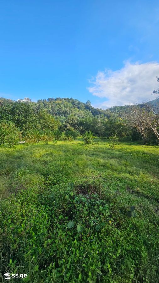 Land For Sale. Gonio view 2