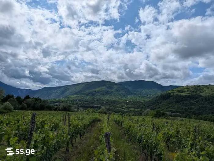 Land For Sale. Ambrolauri view 4