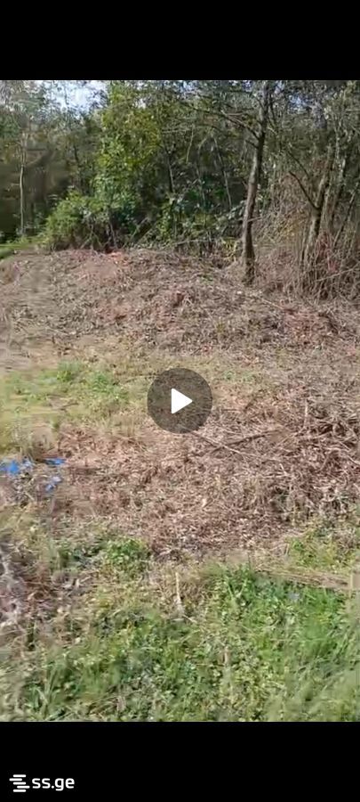 Land For Sale. Ureki view 3