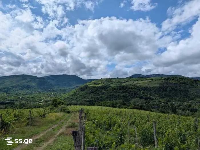 Land For Sale. Ambrolauri view 3