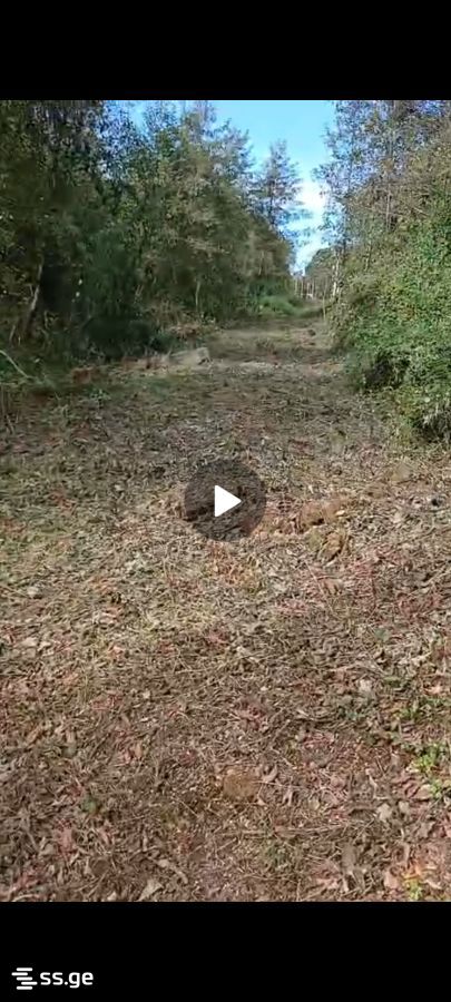 Land For Sale. Ureki view 2