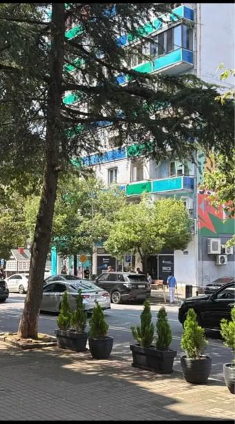 https://static.ss.ge/20261014/2_e0d639cc-6999-4619-81dd-9d606a159352_Thumb.jpg