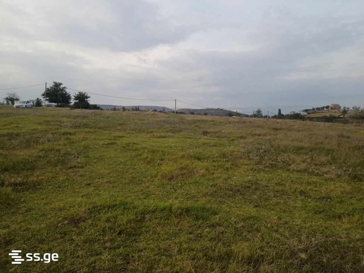 Land For Sale. Nasaguri view 4
