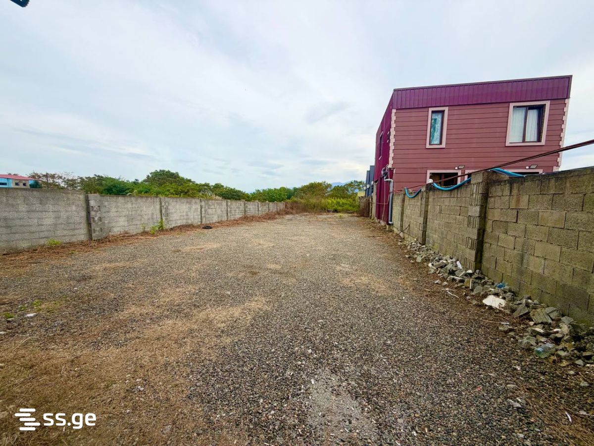 Commercial Space For Sale. Kobuleti view 14