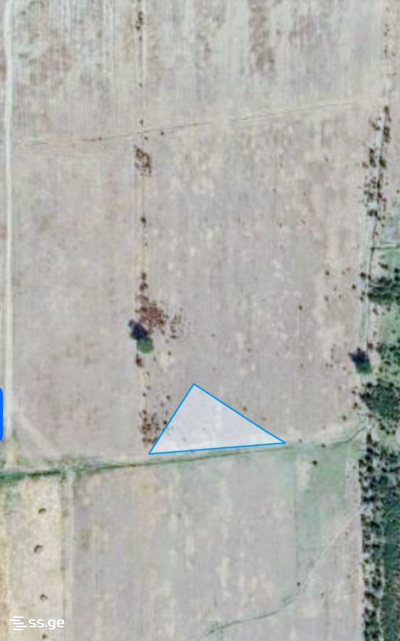 Land For Sale. Natakhtari view 3